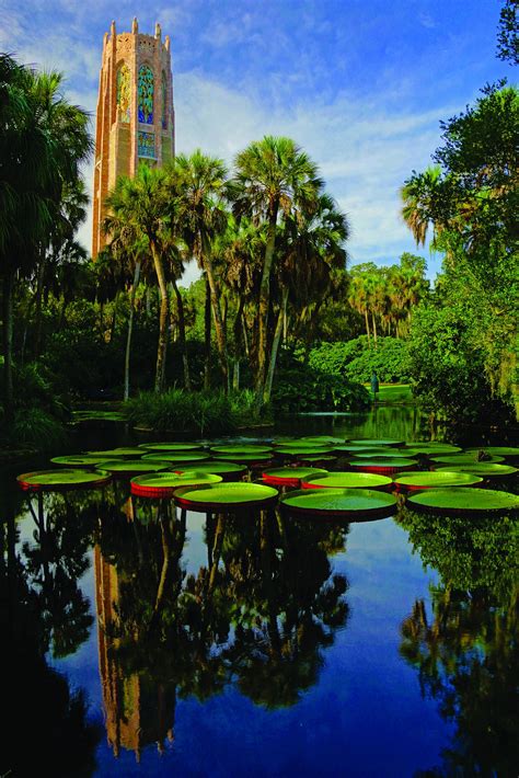 Discover the Magic in Orlando's Village Gardens